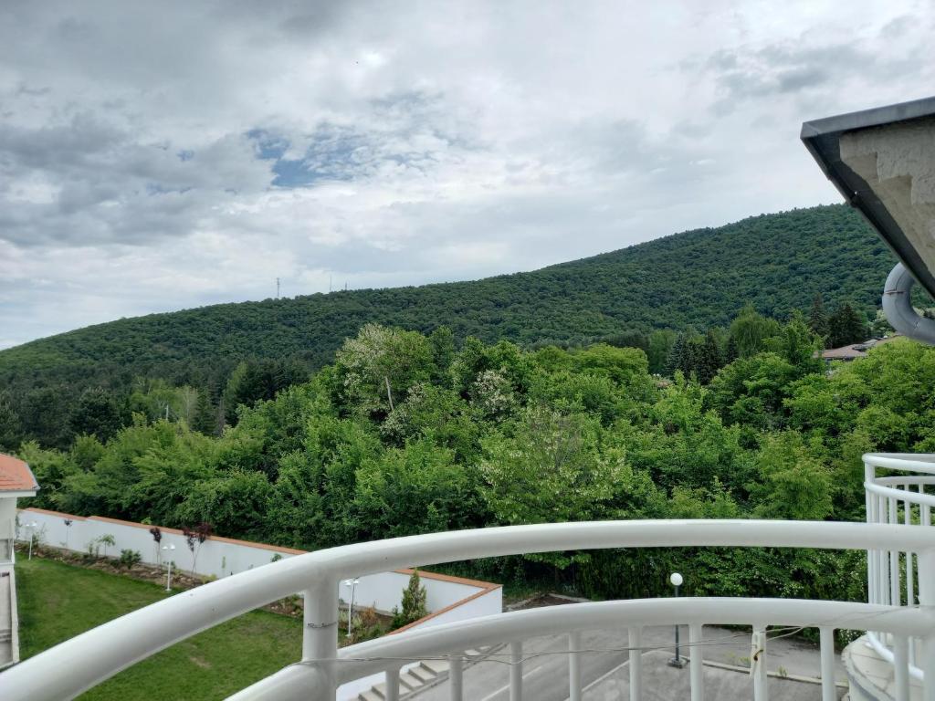 Smeštaj Voli - Borići studio-apartman, Sokobanja - 2