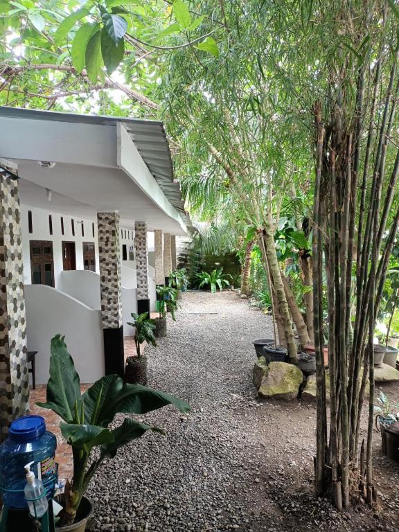 Surrounding environment, Brown Bamboo Guest house & jungle trekking orang-utan in Bukit Lawang