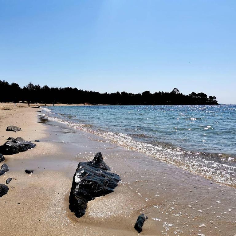 Duplex Hyères Port, Hyères