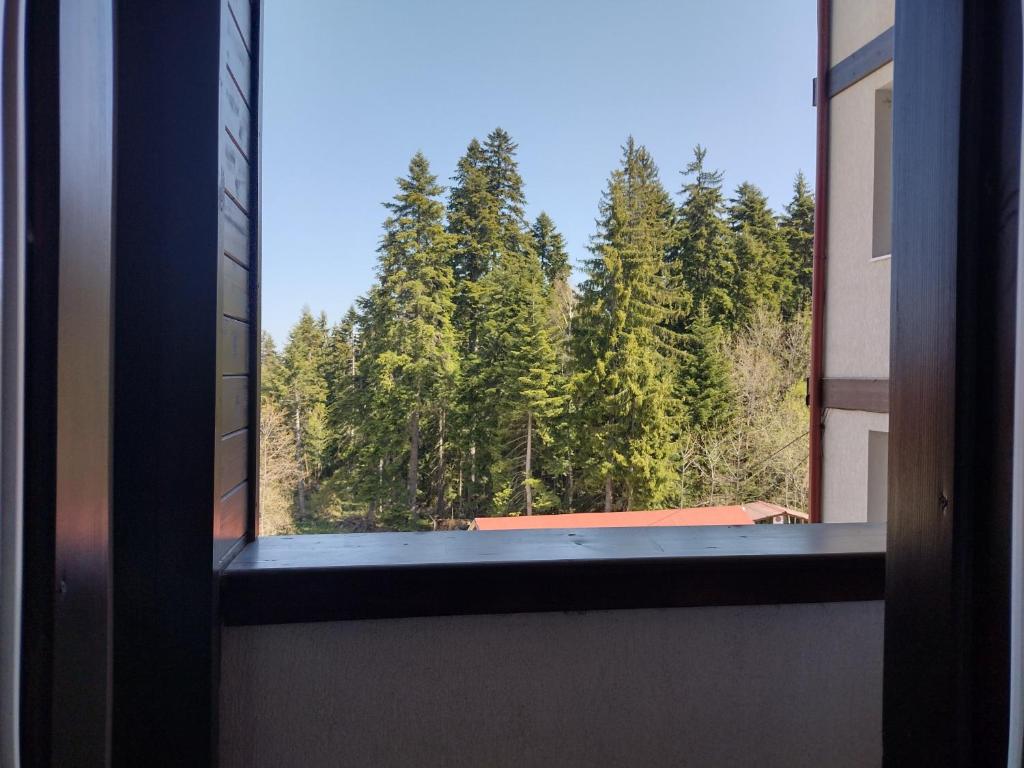 All Seasons Apartments Iglika 2 photo