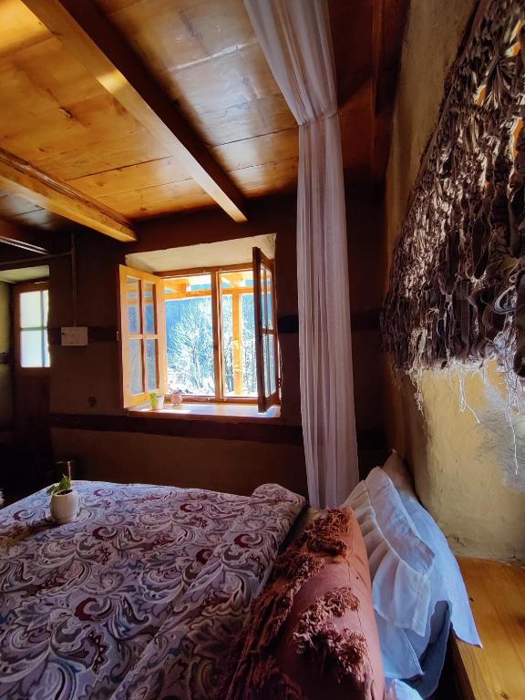 Buddha House photo