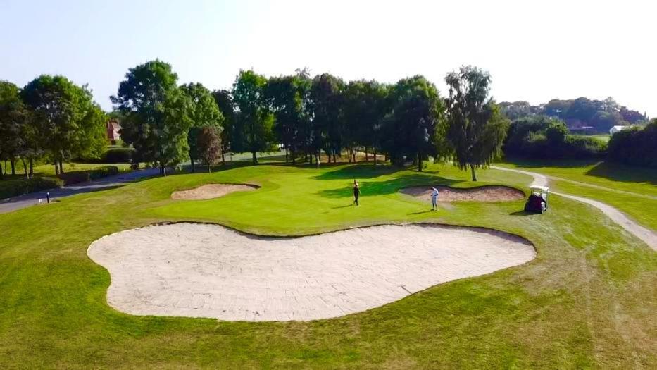 アクティビティ