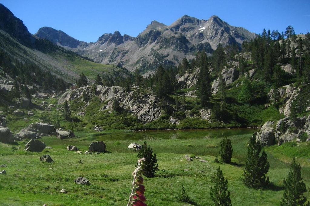 Sport en activiteiten