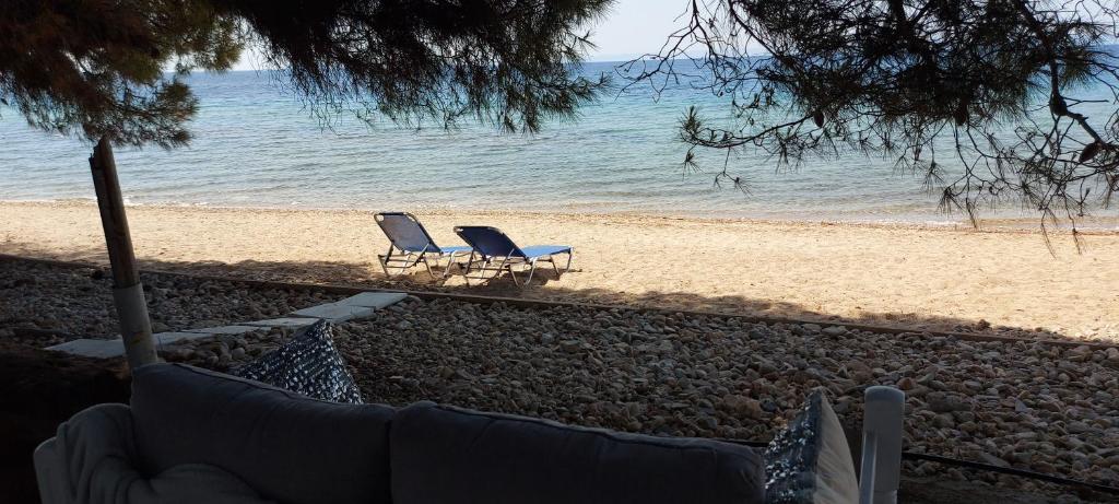 "Pine&Sea" Kastamoniti beach