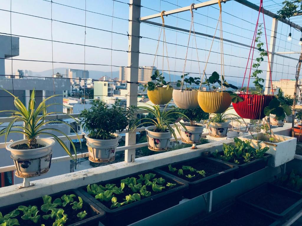 Shiny Homestay Da Nang