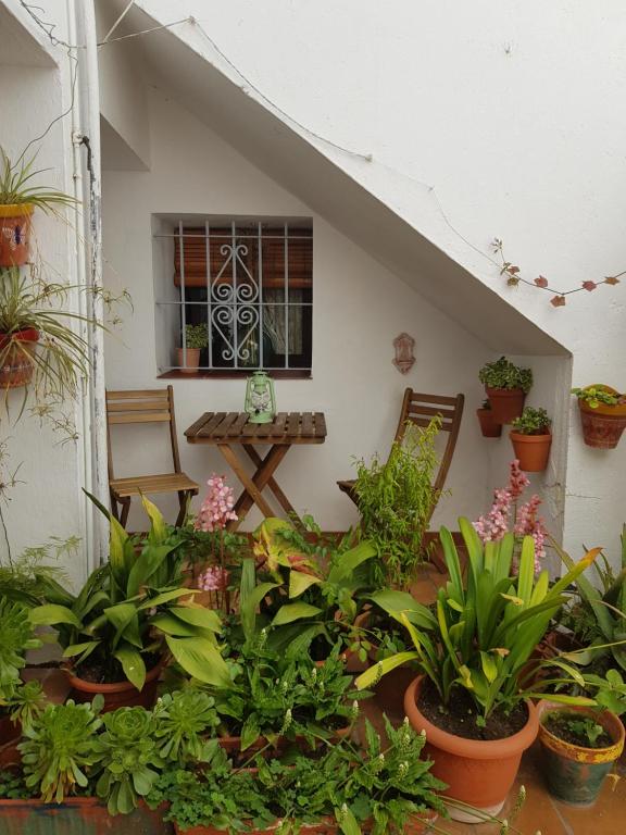 CASA ABRIL - 1