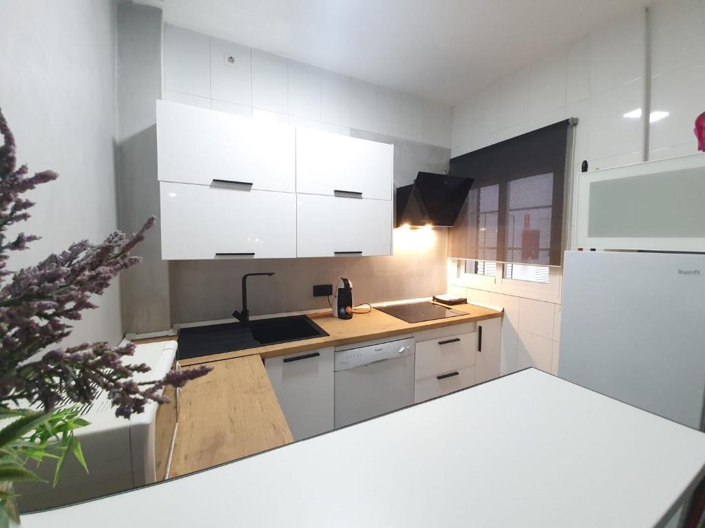 Apartamentos Alamos - 3