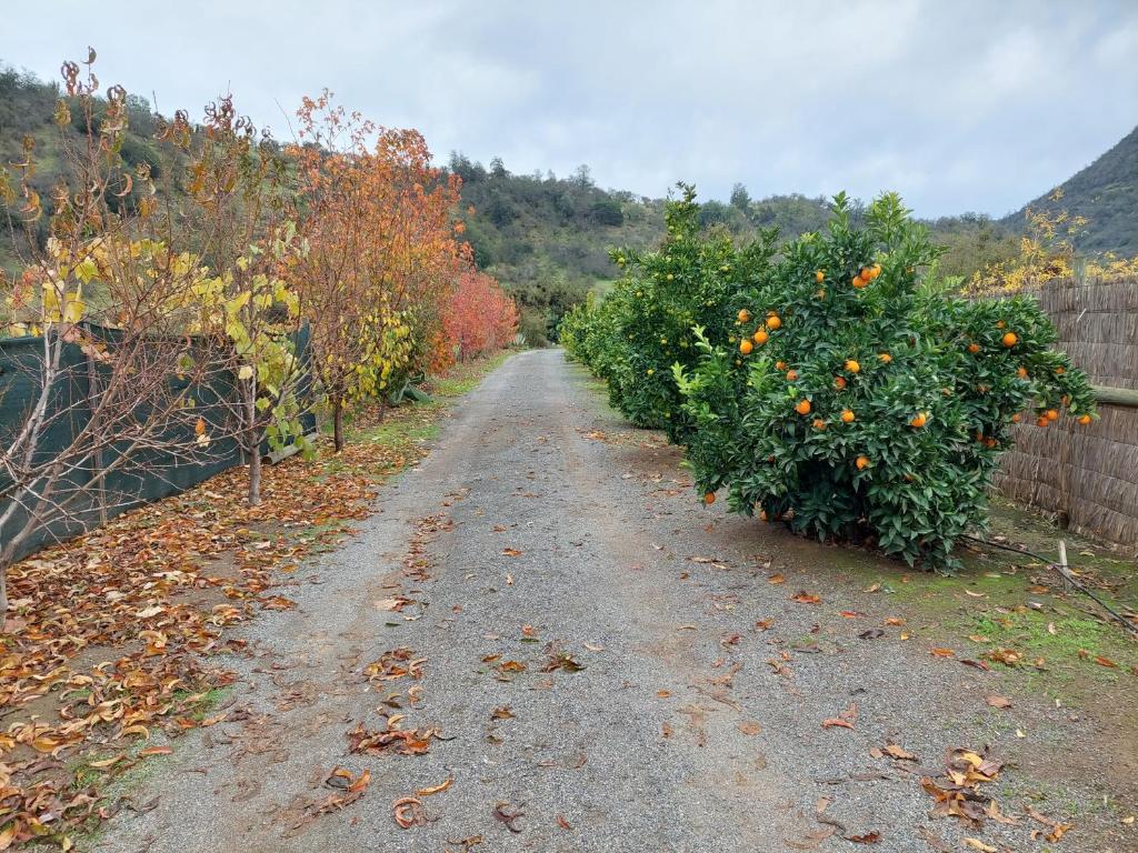 Callihue Lodge photo