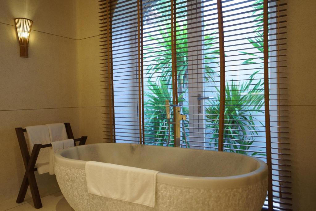 Attrezzature e servizi