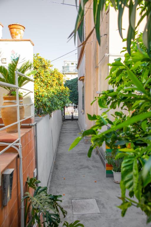 Casa BabbaLuciana - 4