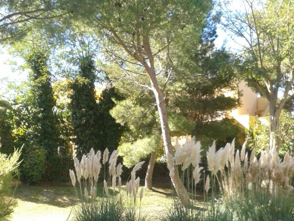 Appartement T3 pour 6 pers, terrasse, proche plage - FR-1-607-1 - 2