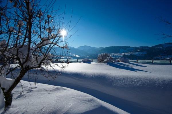 Gasthof zum Hirsch 館内設備