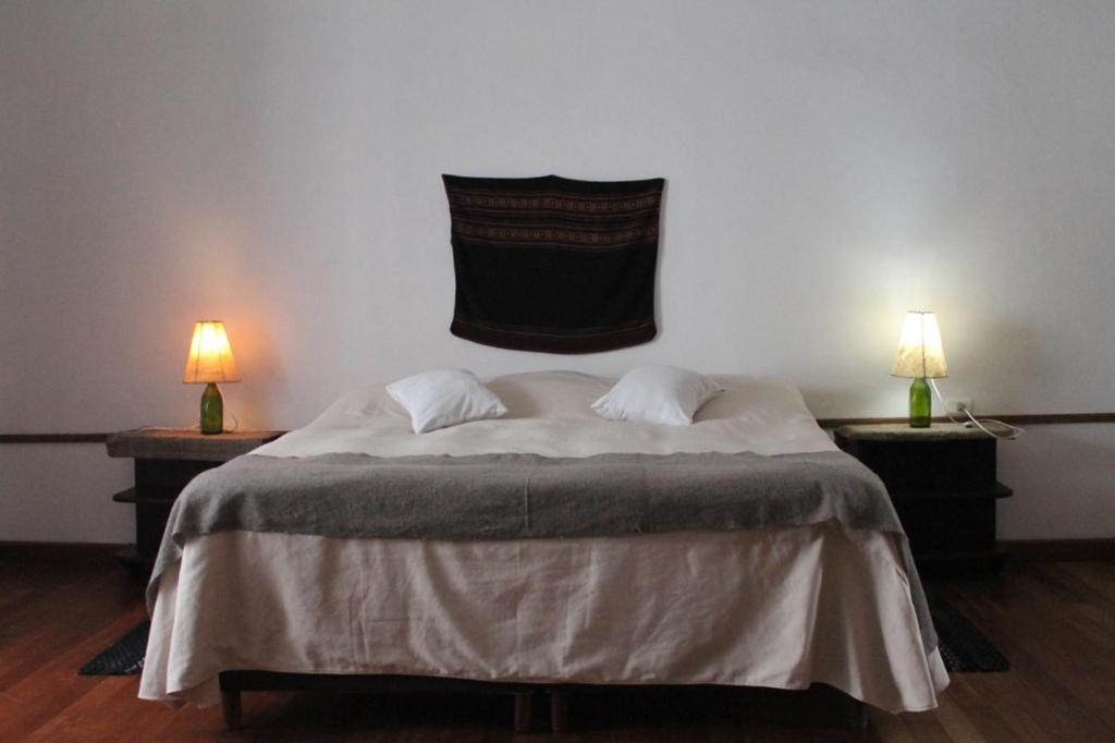 Wasi planta alta - 4