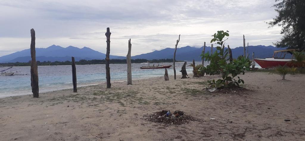 Pitara homestay photo