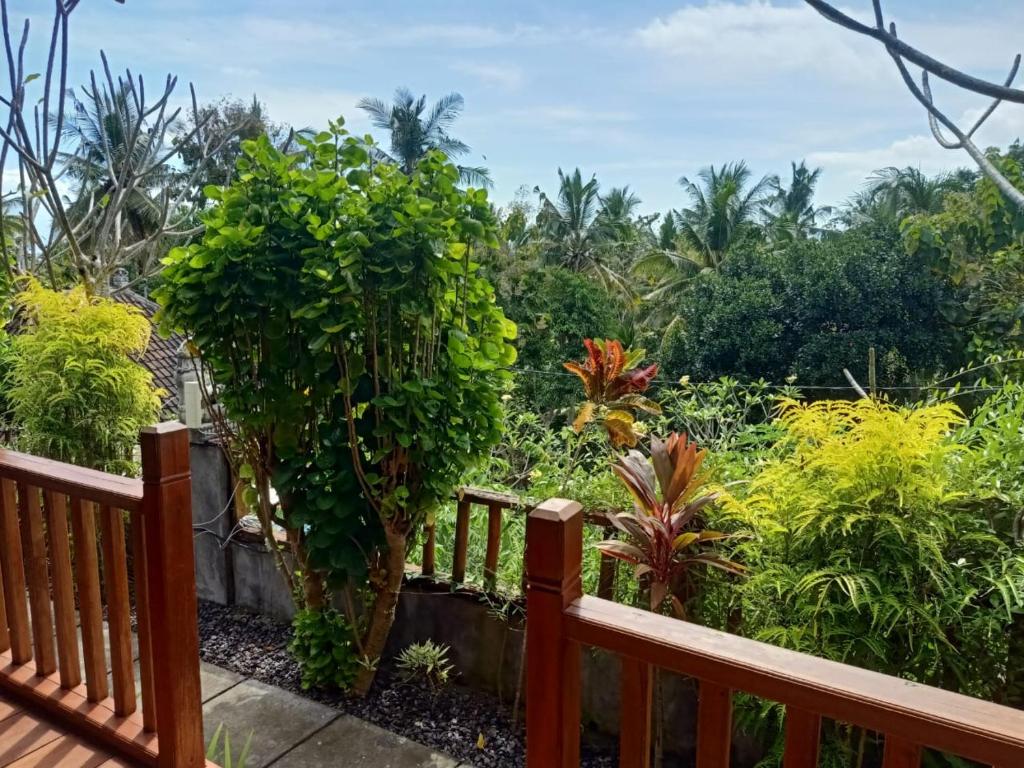 Kibu Kauh Sunrise Cottage