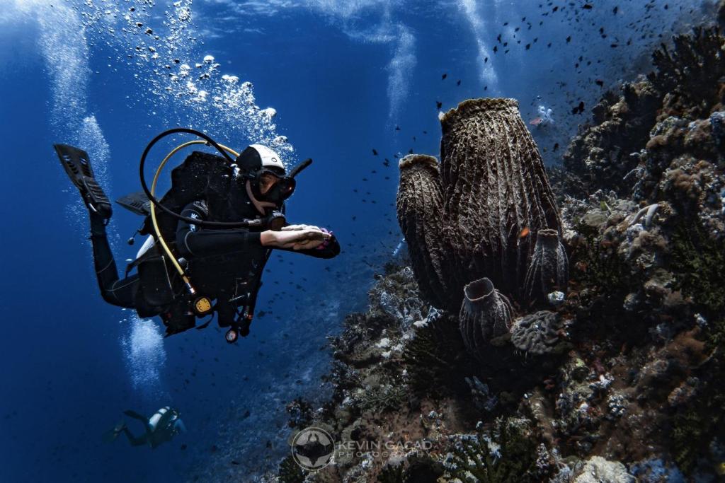 Sports and activities