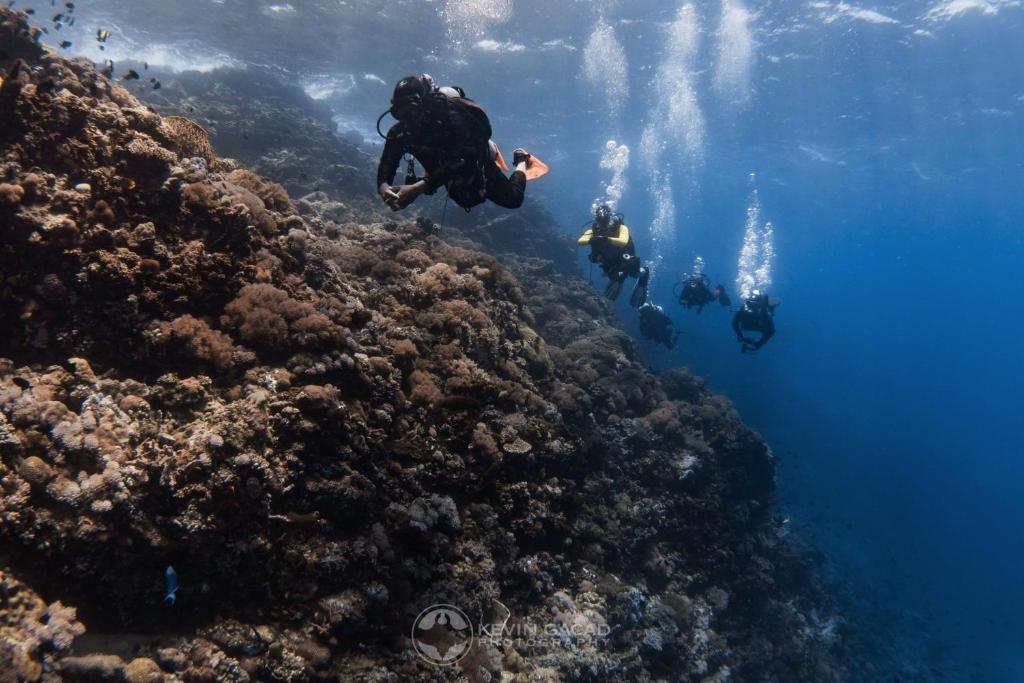 Sports and activities