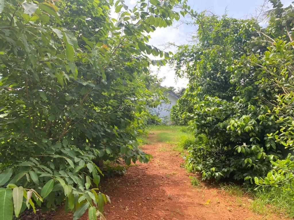 Santhosh Ayurvidhana Health Resort photo