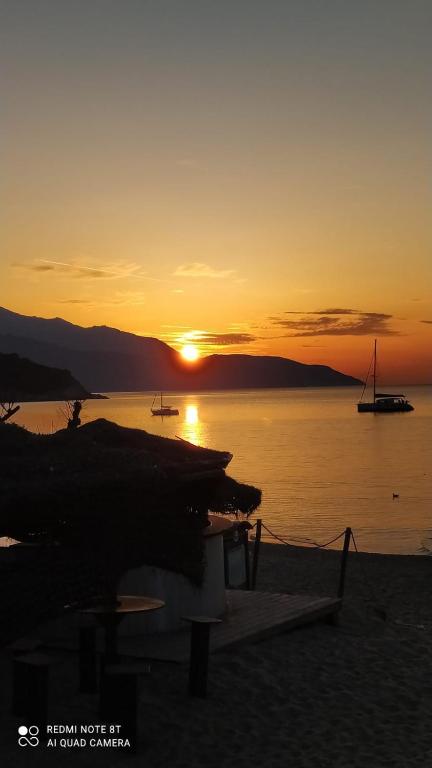 Le Maree Marina - 3