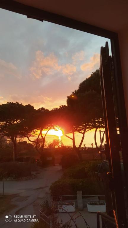 Le Maree Marina - 4