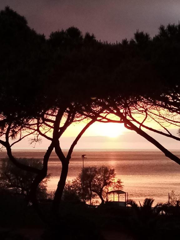 Le Maree Marina - 5