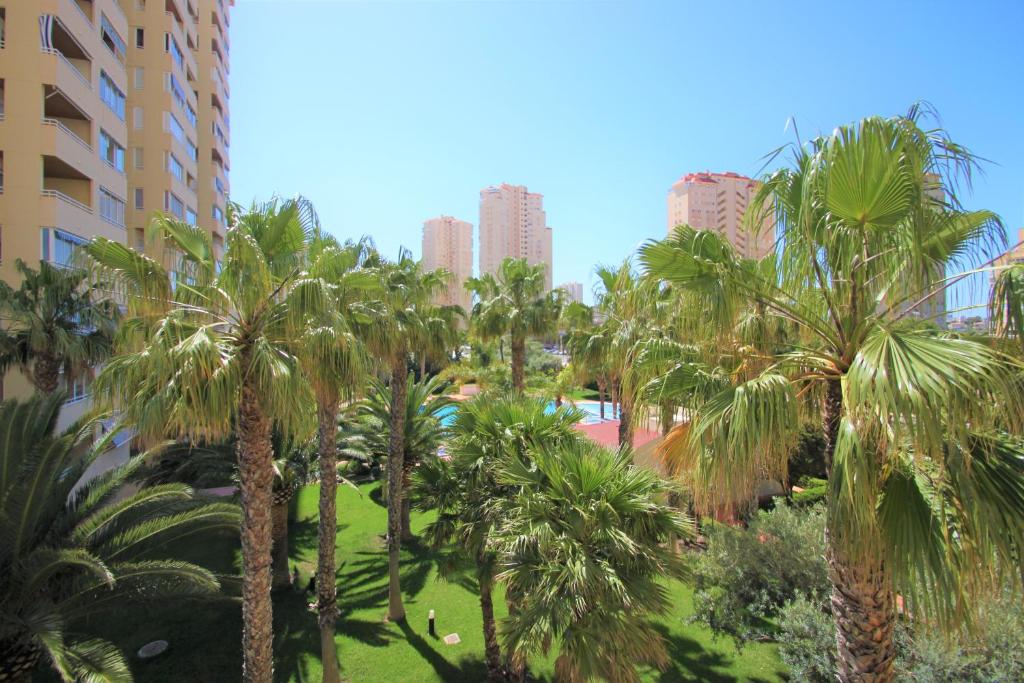 Apartamento en Urb. Natura Playa 2 en Campello-Muchavista C104 - 2