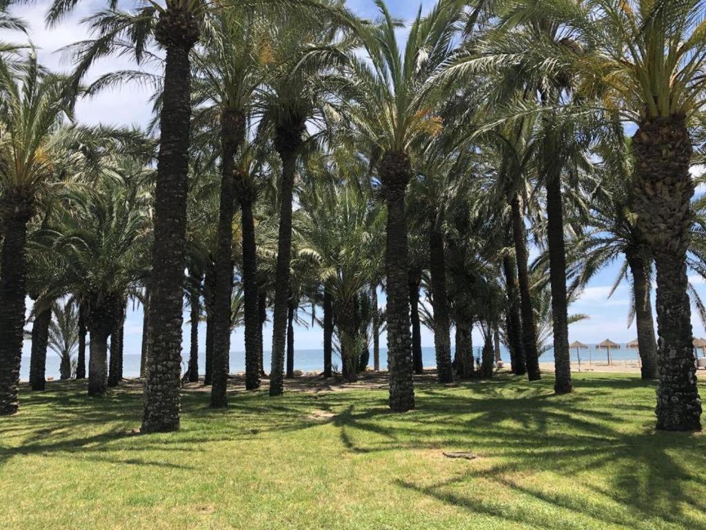 CARIHUELA BEACH - 2