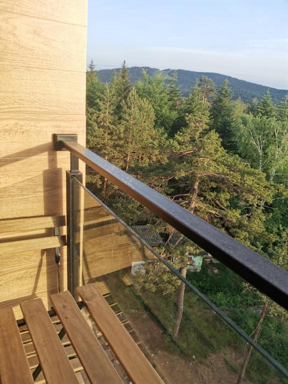 Divcibare Planinski mir A19 photo