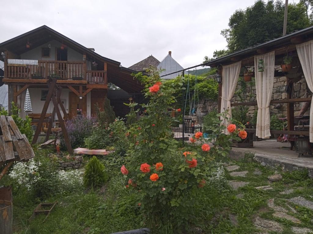 Privatni smjestaj Kurtalija photo