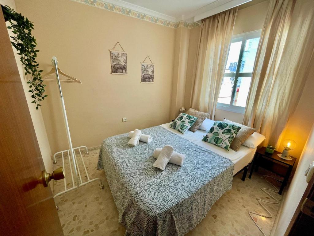 GATU Villa Palma, aire acc y confort en el centro histórico, " Preferente mayores de 25 años y familias " - 3