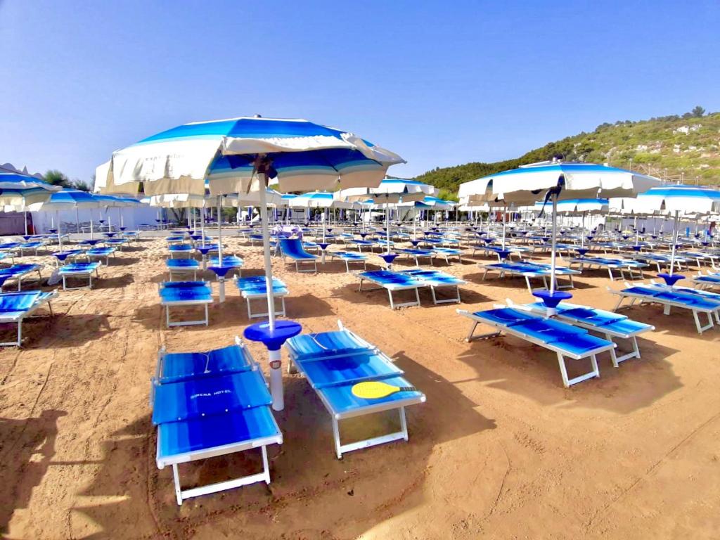 Hotel Sirena - Servizio spiaggia inclusive photo