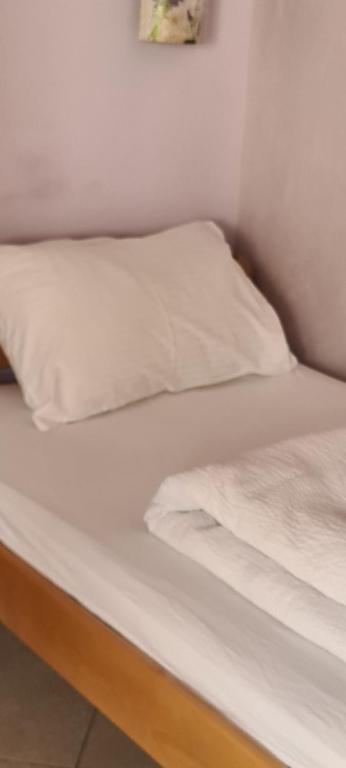 Vila Maslina Guesthouse photo