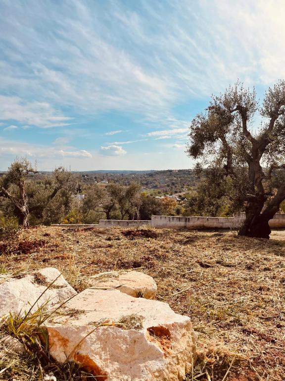 Trullo Philemon - 5