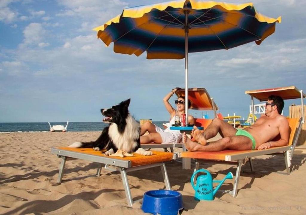 Sovrana Beach Hotel - Pet Friendly - Breakfast until 12 - Parking - 2
