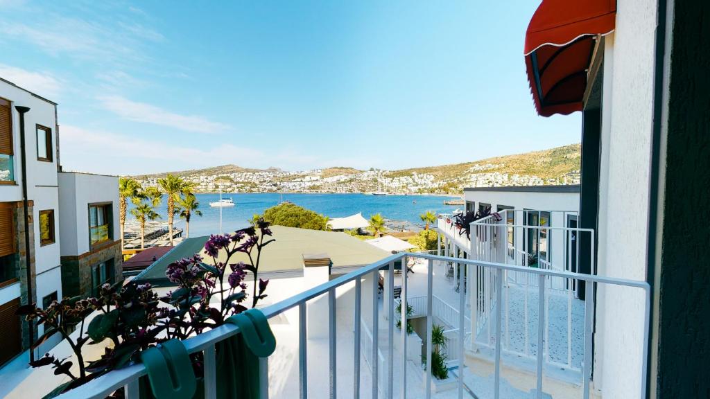 Casamia Hotel photo