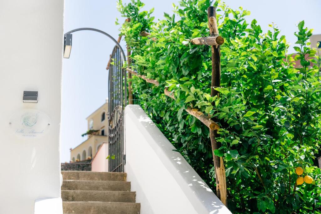 Villa Alimede photo