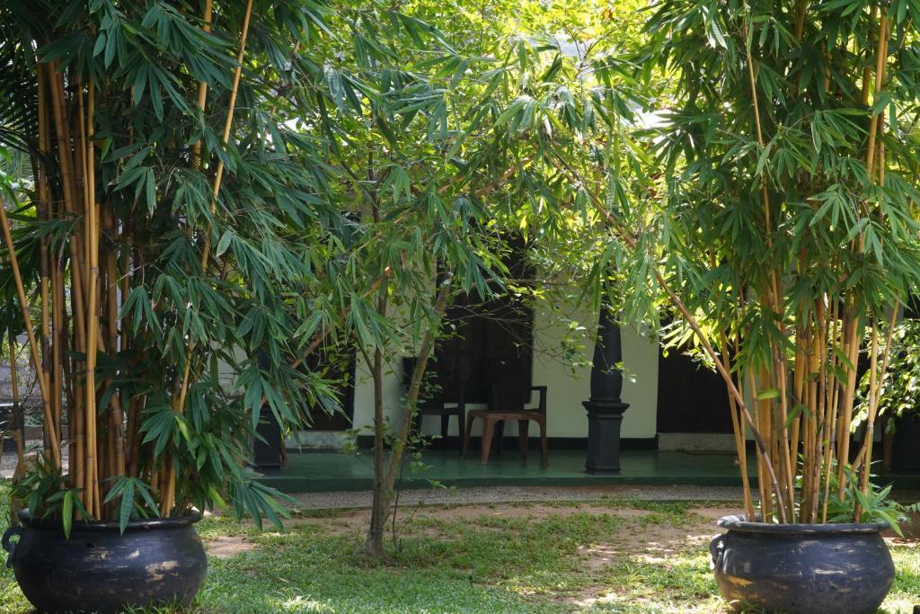 Sandra Guesthouse — Hotel in Sigiriya