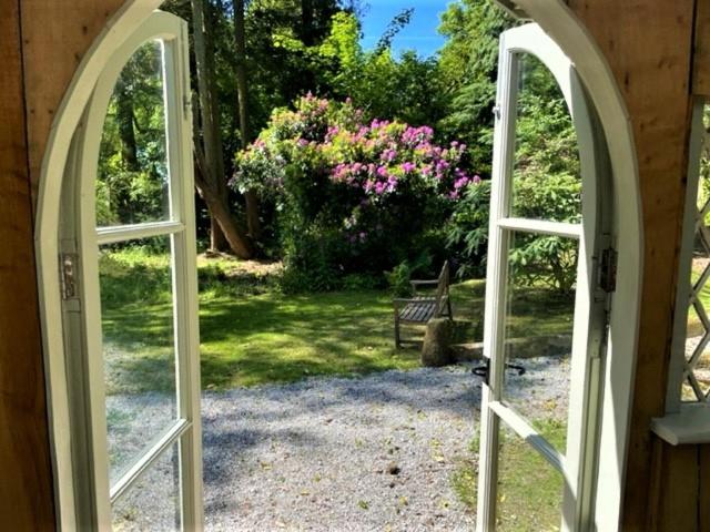 Wodehouse, Falmouth photo 8