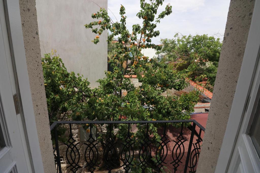 Galya Otel Alacati photo