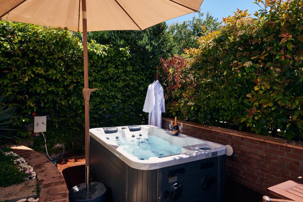 Rhea Silvia, Dubrovník