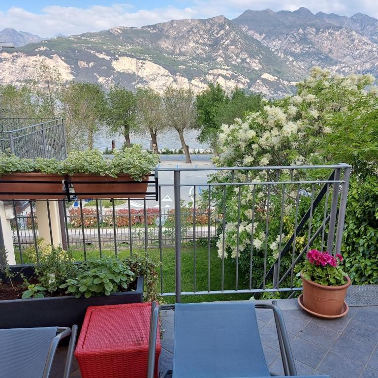 Villa Treccani Apartments photo