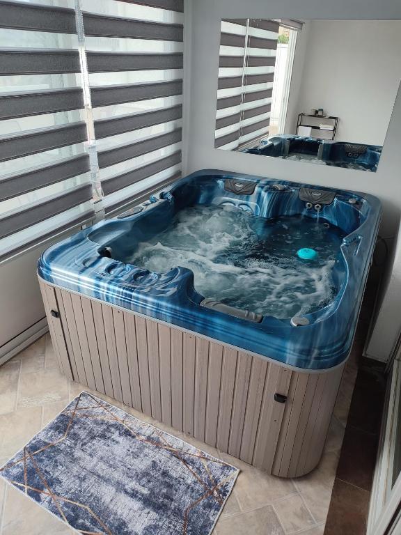 Spa apartman Iva - 5