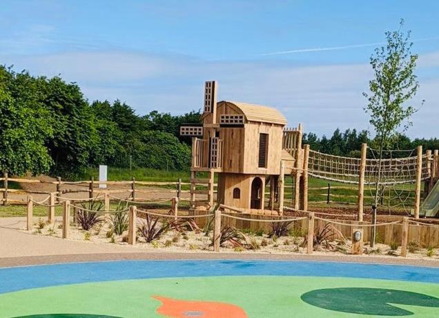 アクティビティ