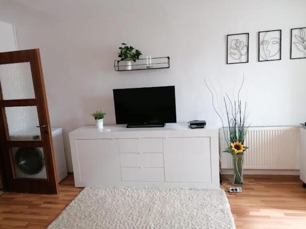 Nexus Studio Deluxe photo