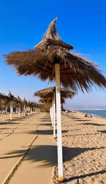 playa home - 2