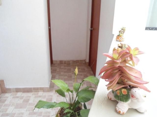 Acojedor - 5