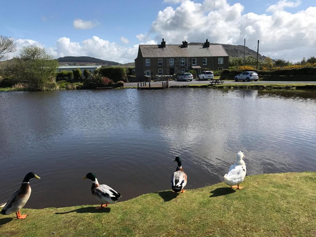 2 Sea View Cottage, Pwllheli