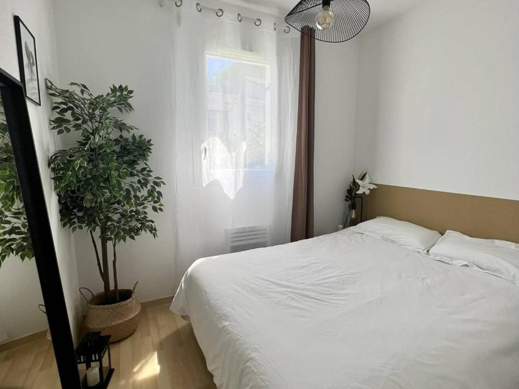 T1 bis confortable avec terrasse et parking à Cambo-les-Bains - 5