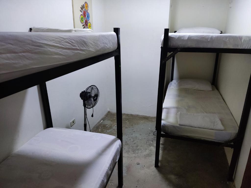 BAY HOUSE HOSTEL photo