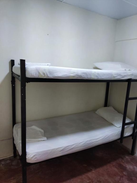 BAY HOUSE HOSTEL photo